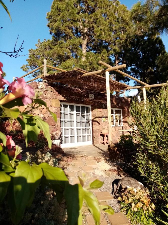 Casa Los Pinos - Sunset & Wifi Puntagorda 외부 사진
