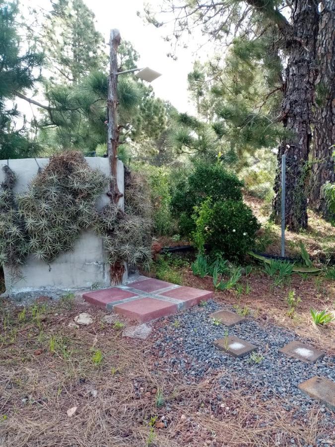 Casa Los Pinos - Sunset & Wifi Puntagorda 외부 사진